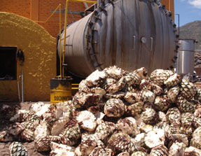 3Mujeres Autoclave