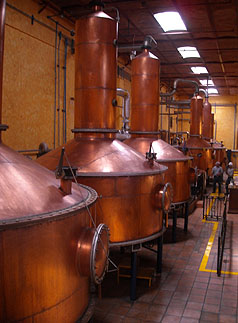 Cuervo Pot Stills